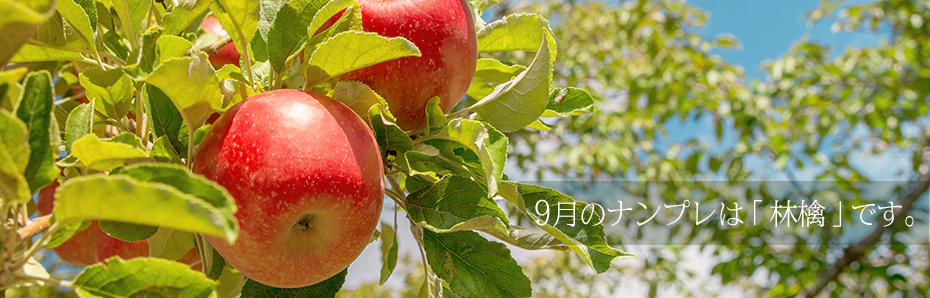 2017年9月のナンプレは「リンゴ」の形です。
