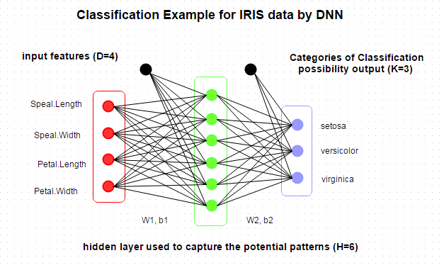 iris_network.png